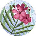 Nancy Cole Avatar