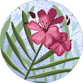 Nancy Cole Avatar